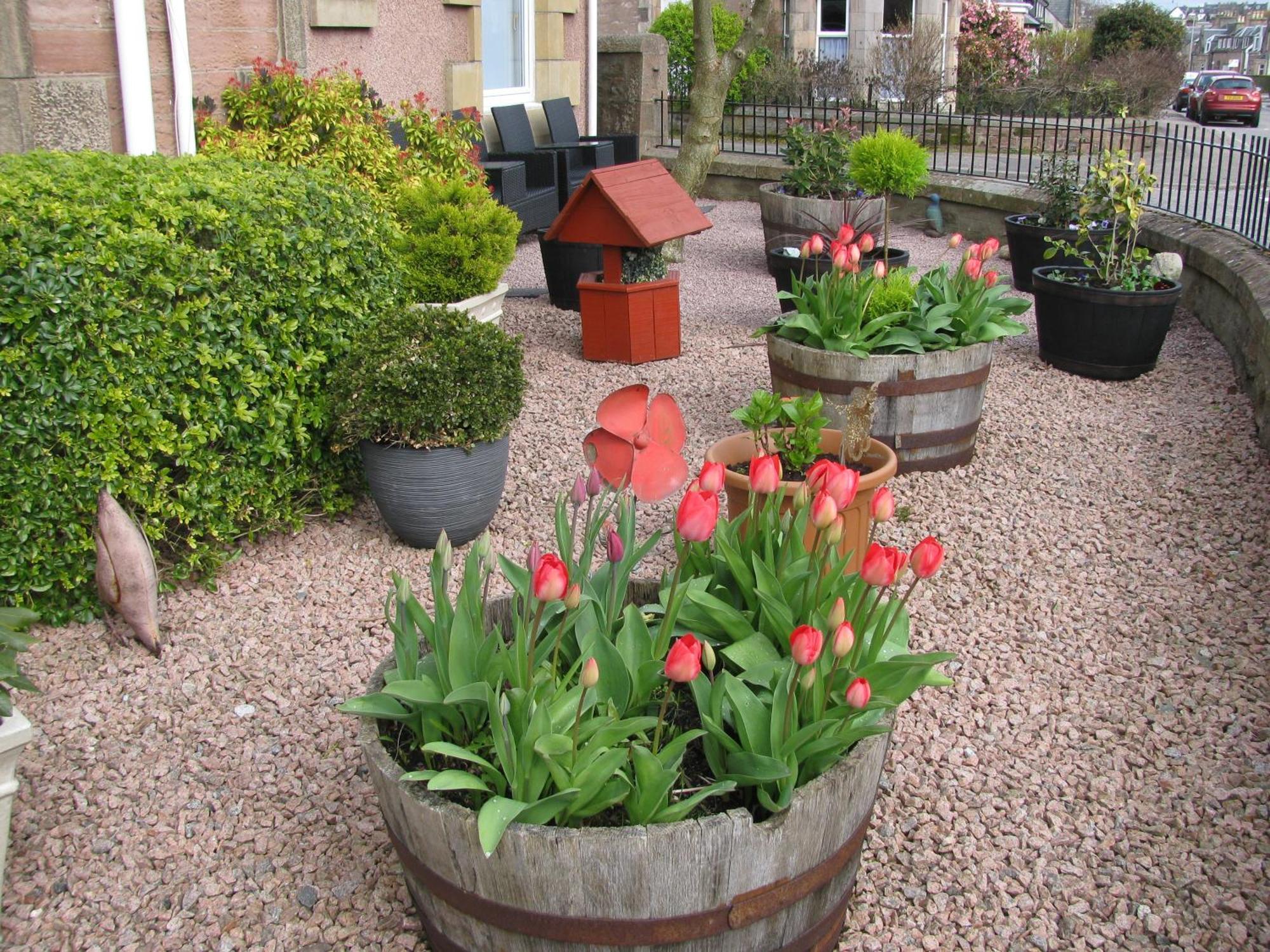 Fairfield Townhouse Guest House Inverness Bagian luar foto
