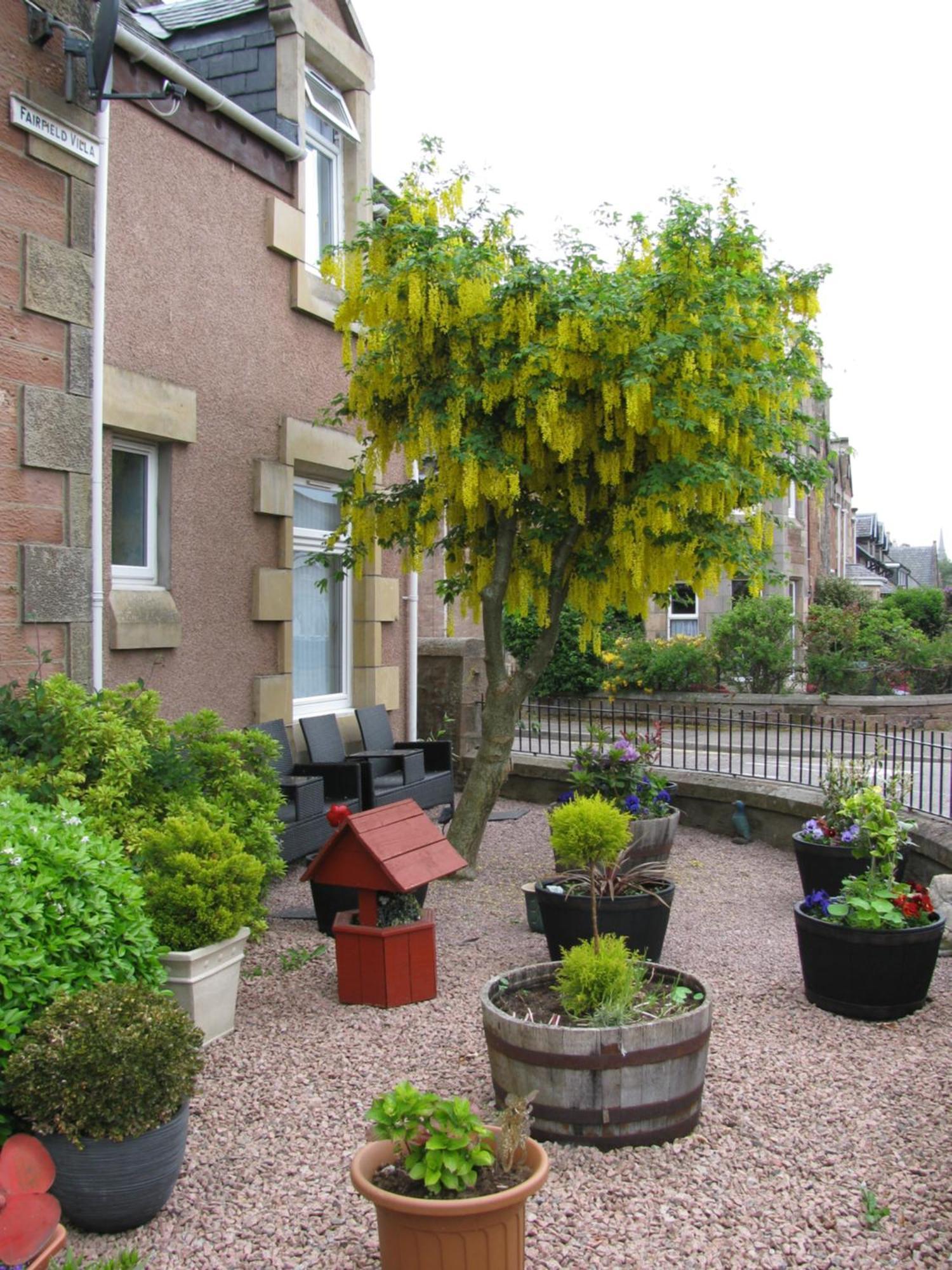 Fairfield Townhouse Guest House Inverness Bagian luar foto